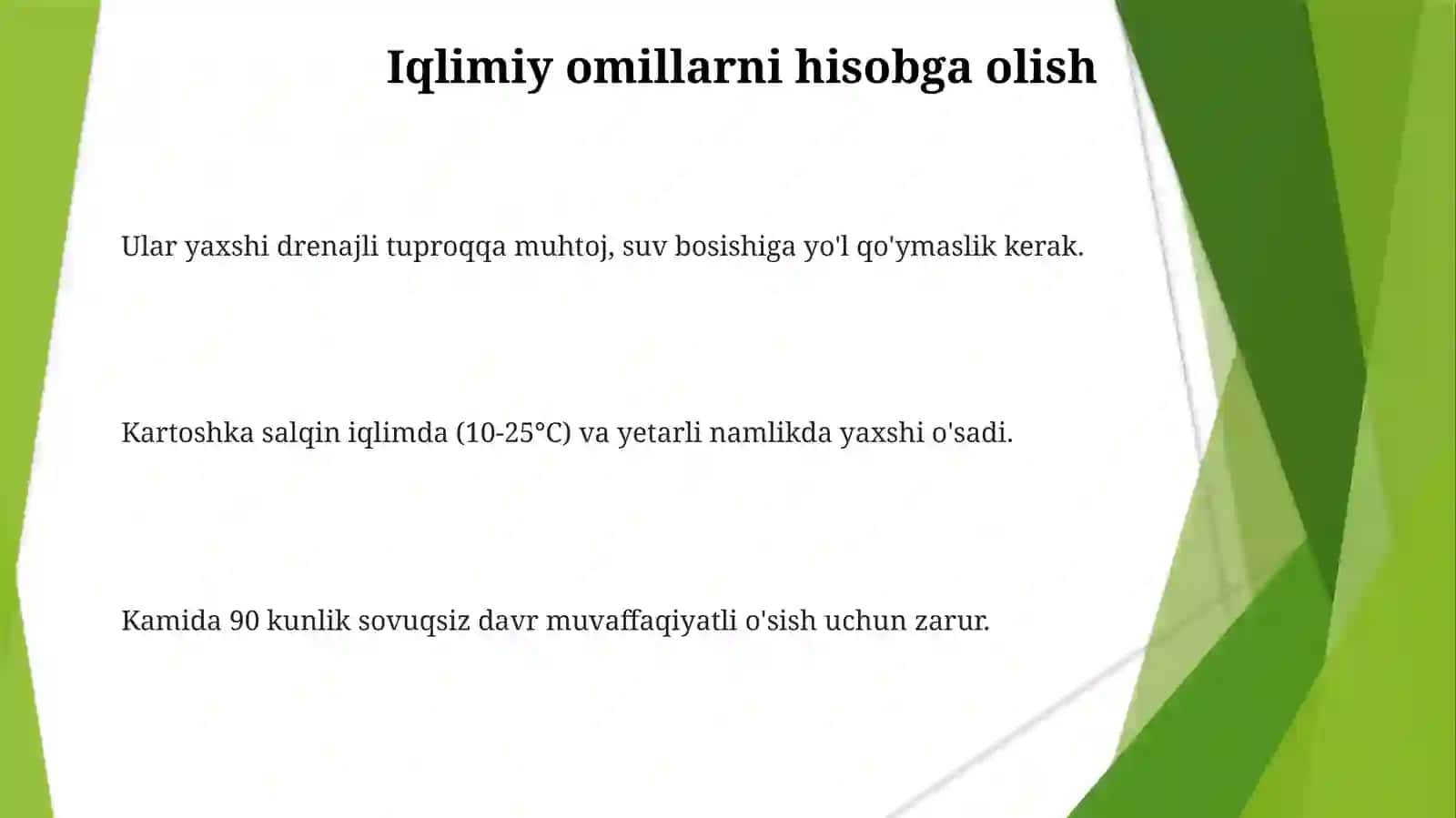 Kartoshka Yetishtirish 3