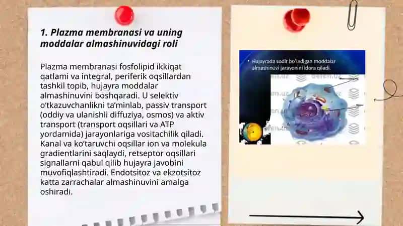 Plazma membranasi va uning moddalar almashinuvidagi roli 3