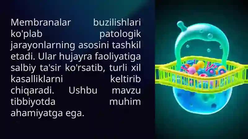 MEMBRANALAR BUZILISHLARINI PATOLOGIK JARAYON KELTIRIB CHIQARISHDAGI O'RNI 3
