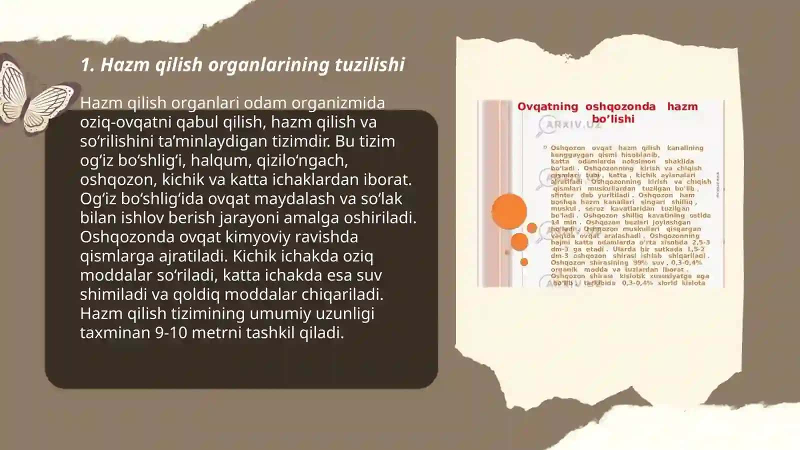Hazm qilish tizim fiziologiyasi 3