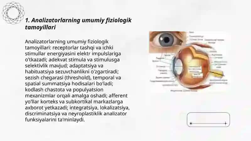 Analizatorlarning fiziologiyasi va tekshiruv usullari 3
