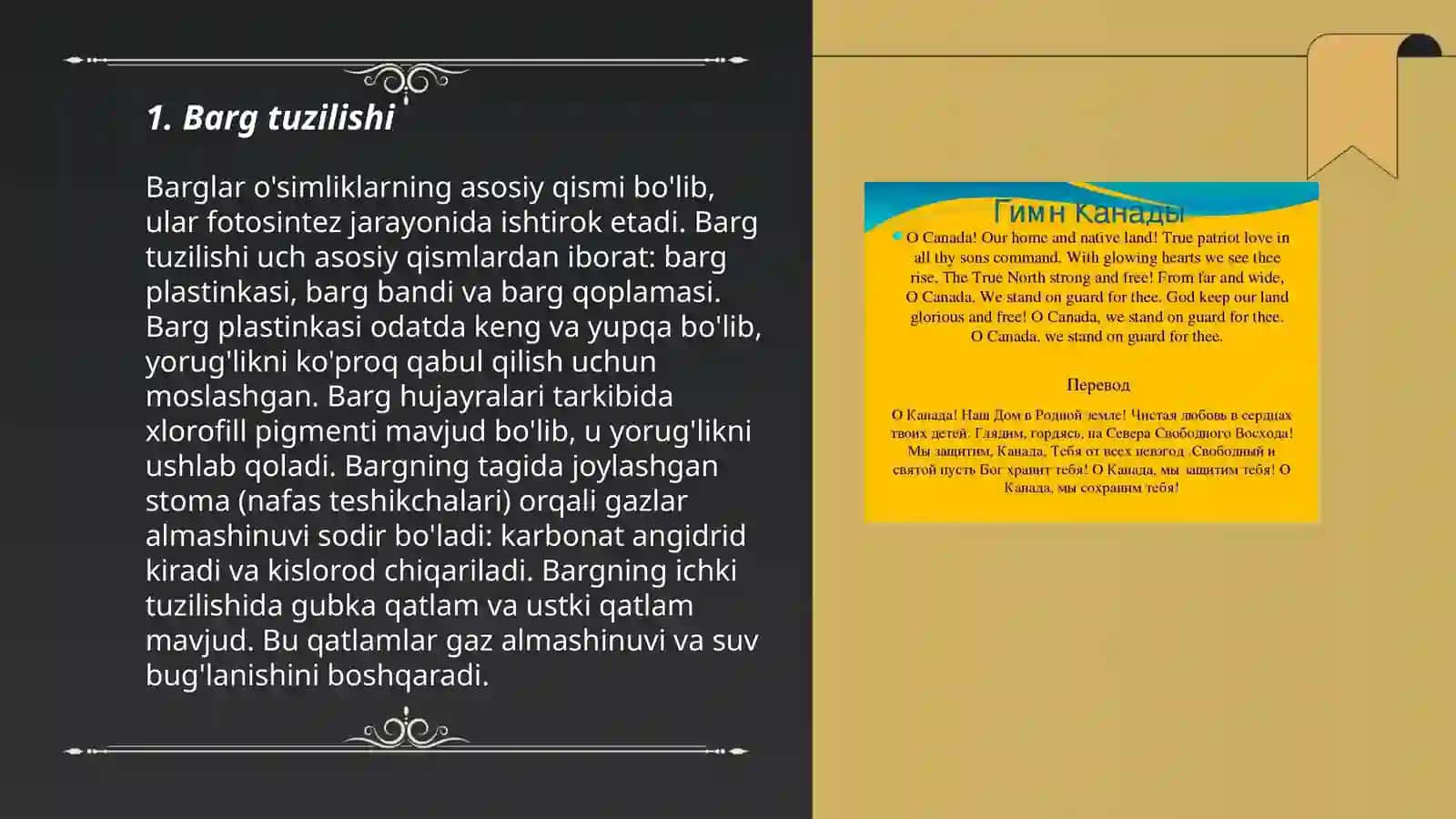 Oʻsimlik organlarini taqqoslash 3
