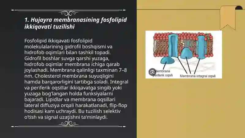 Hujayra Membranasi Tuzilishi 3