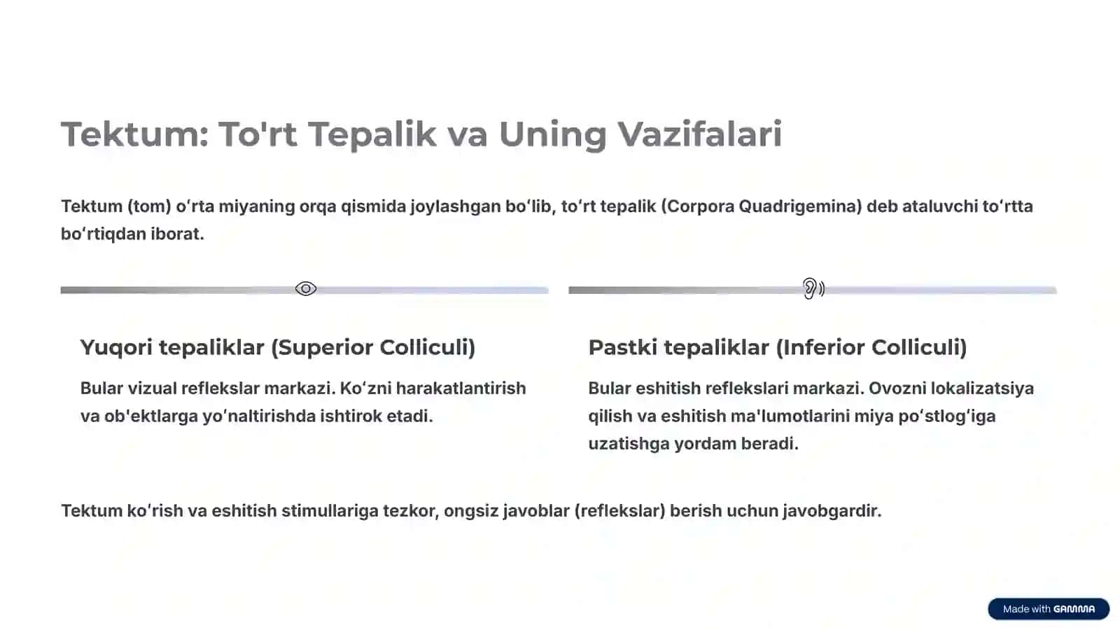 Oʻrta Miya Anatomiyasi: Markaziy Nazorat Markazi 3