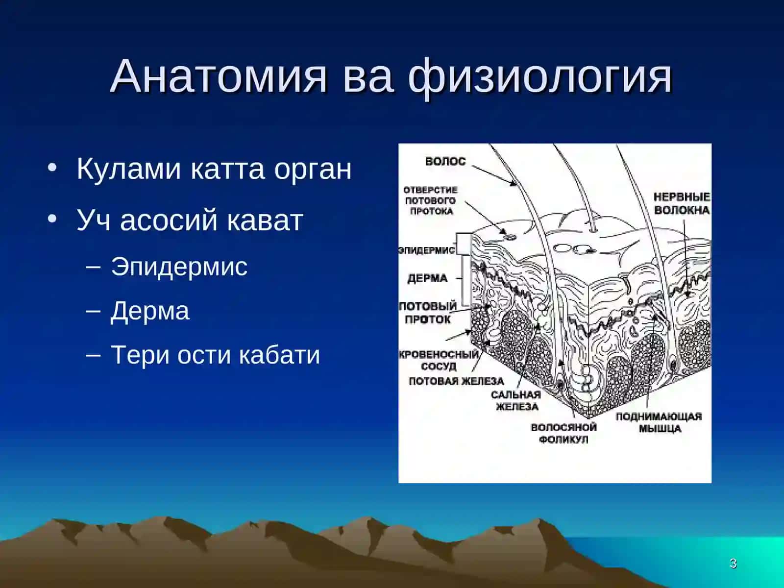 Юмшок тукималар травмаси 3