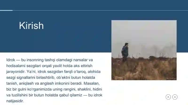 Idrok haqida tushuncha, nazariyasi va xususiyatlari 3