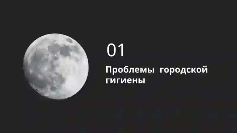 Гигиена мегаполиса и больницы 3