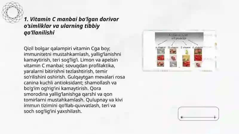 Tarkibida vitaminlar bolgan dorivor o'simliklar va mahsulotlar 3