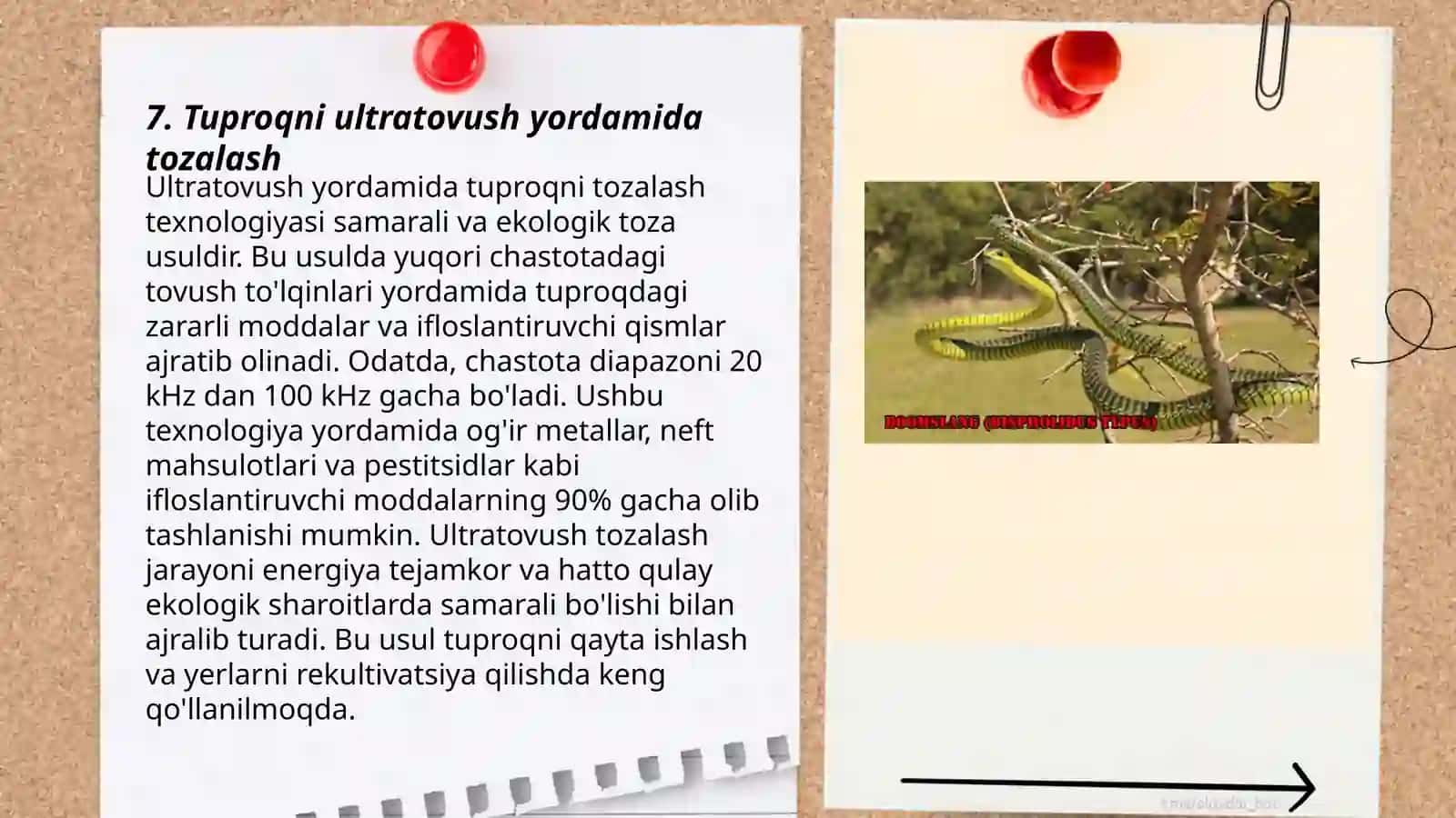 Oʻzbekistondagi sanoat shaharlari va ular atrofidagi tuproq qoplamining ekologik holati va rekultivatsiyasi 3