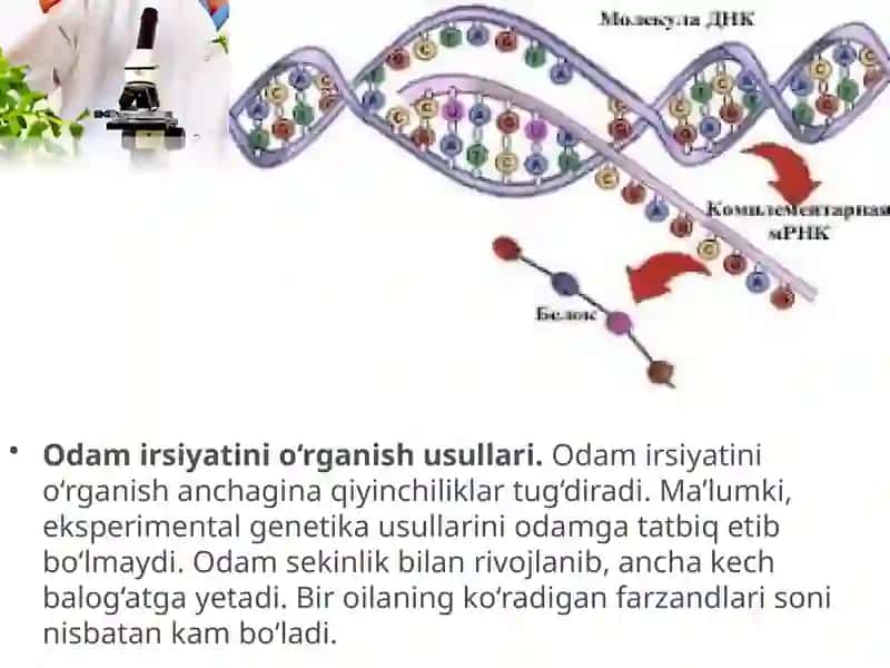 Odam genetikasini o’rganish usullari 3