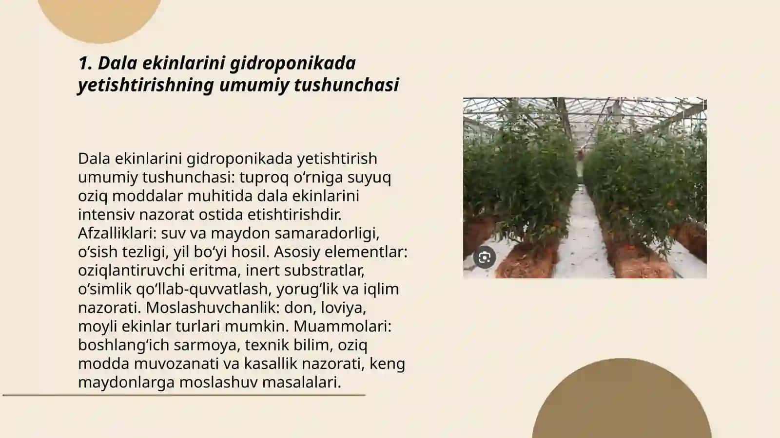 Dala ekinlarni yetishtirishda gidroponika usulida yetishtirish 3