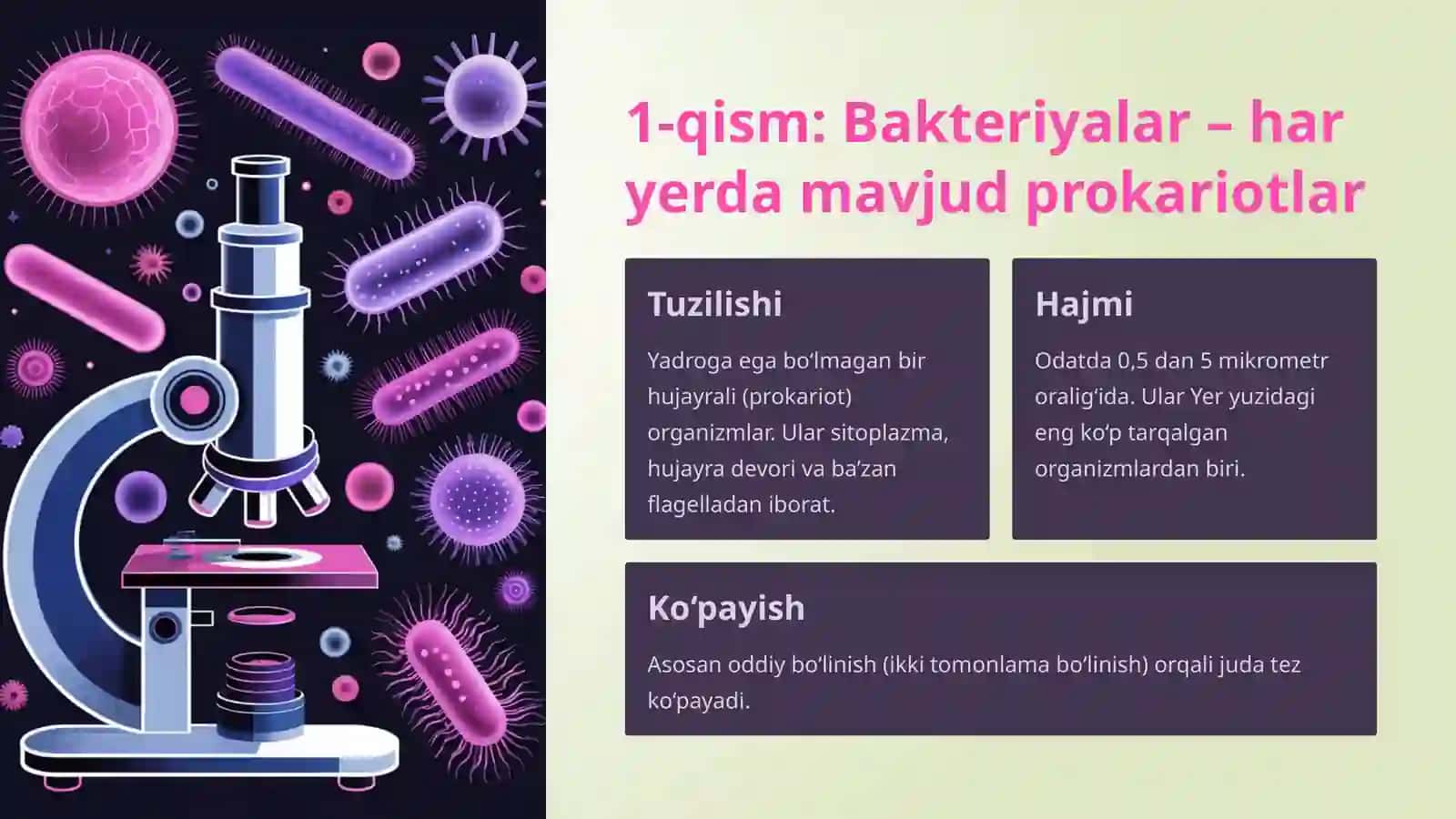 Bakteriyalar, viruslar vazamburug‘lar vaularningtarqalishi 3