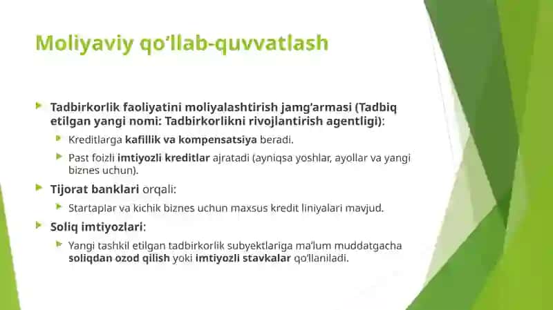 Tadbirkorlik faoliyatini moliyalashtirish jamg'armasi 3