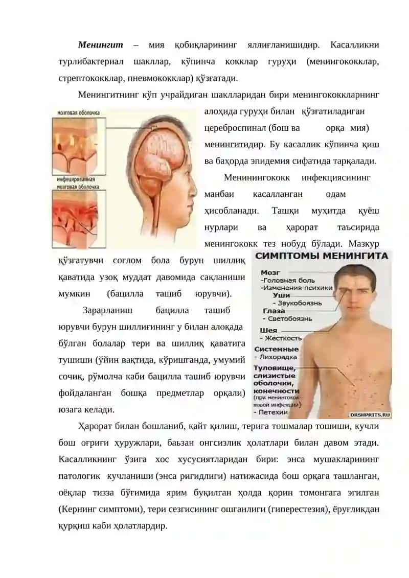 Бош мия ярим шарларининг олий фаолияти нерв тизимининг касалликлари 3