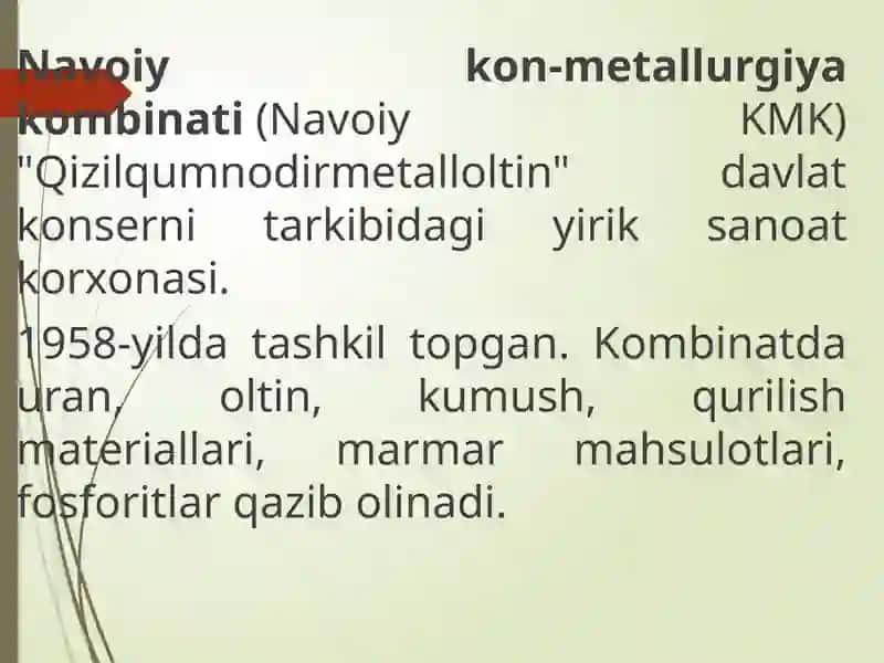 Og‘ir metallarning atrof-muhitga ta’siri (Navoiy kon metallurgiyasining atrof muhitga ta'siri misolida) 3