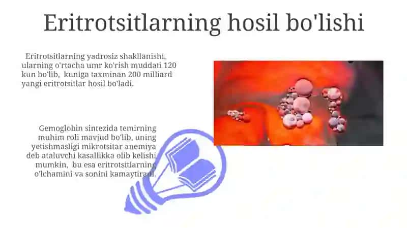 Qon pigmentlari 3