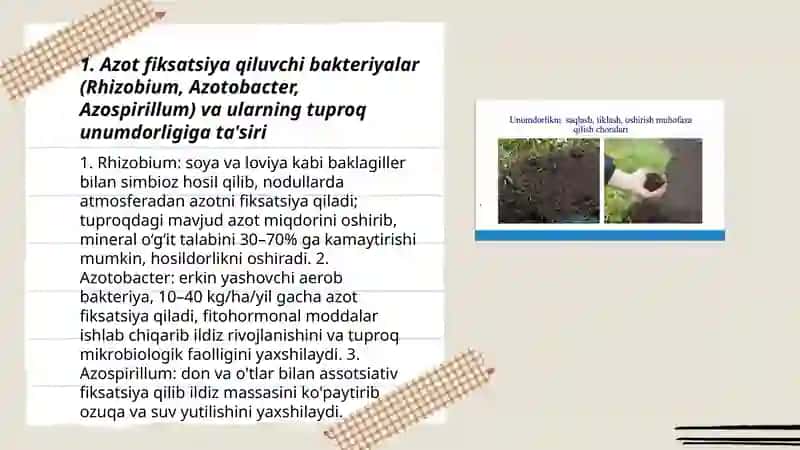 Tuproq unumdorligini oshirishda mikroorganizmlardan foydalanish 3