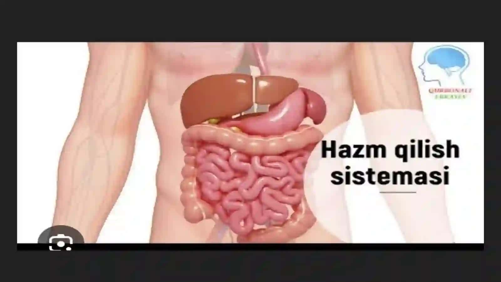 Ovqat hazm qilish tizimi 3