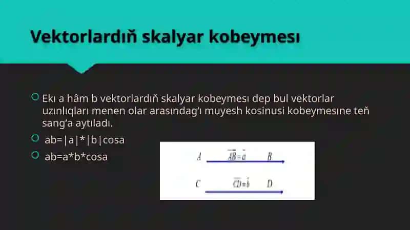 Vektorlar 3