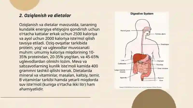 TTAChF Davolash ishi yo'nalishi 1-bosqich 110-guruh talabasi Iriskulov Javohir 3