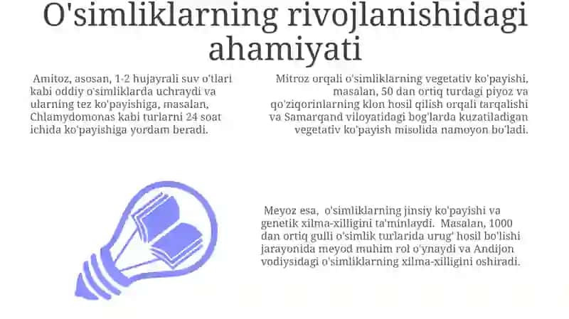 Gulli oʻsimliklar olamida amitoz, mitoz va meyozning ahamiyati 3