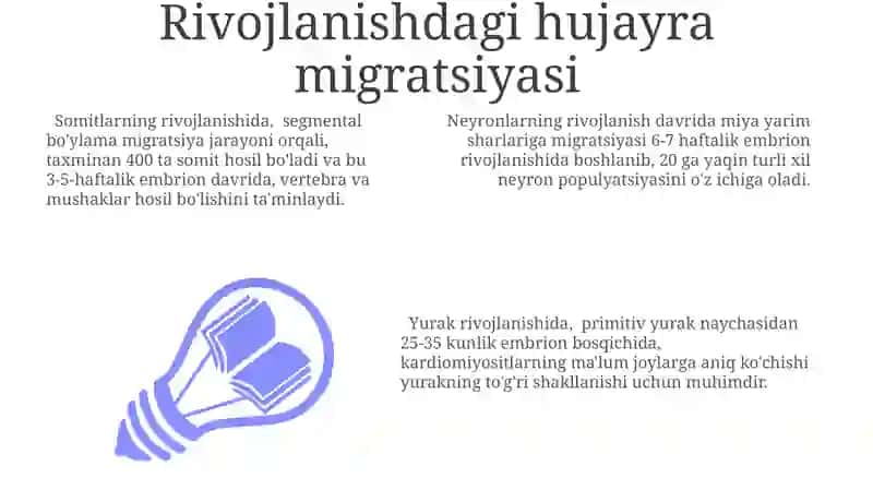 Rivojlanishdagi genetik o'zgarishlar 3