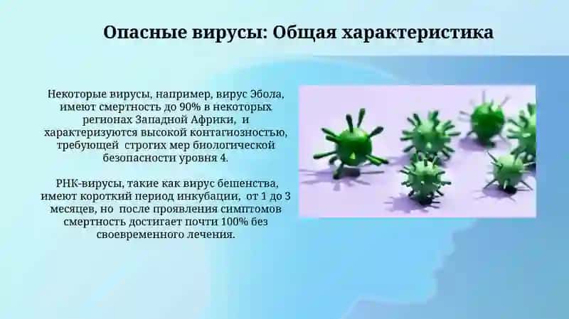 Опасные вирусы и бактерии 3