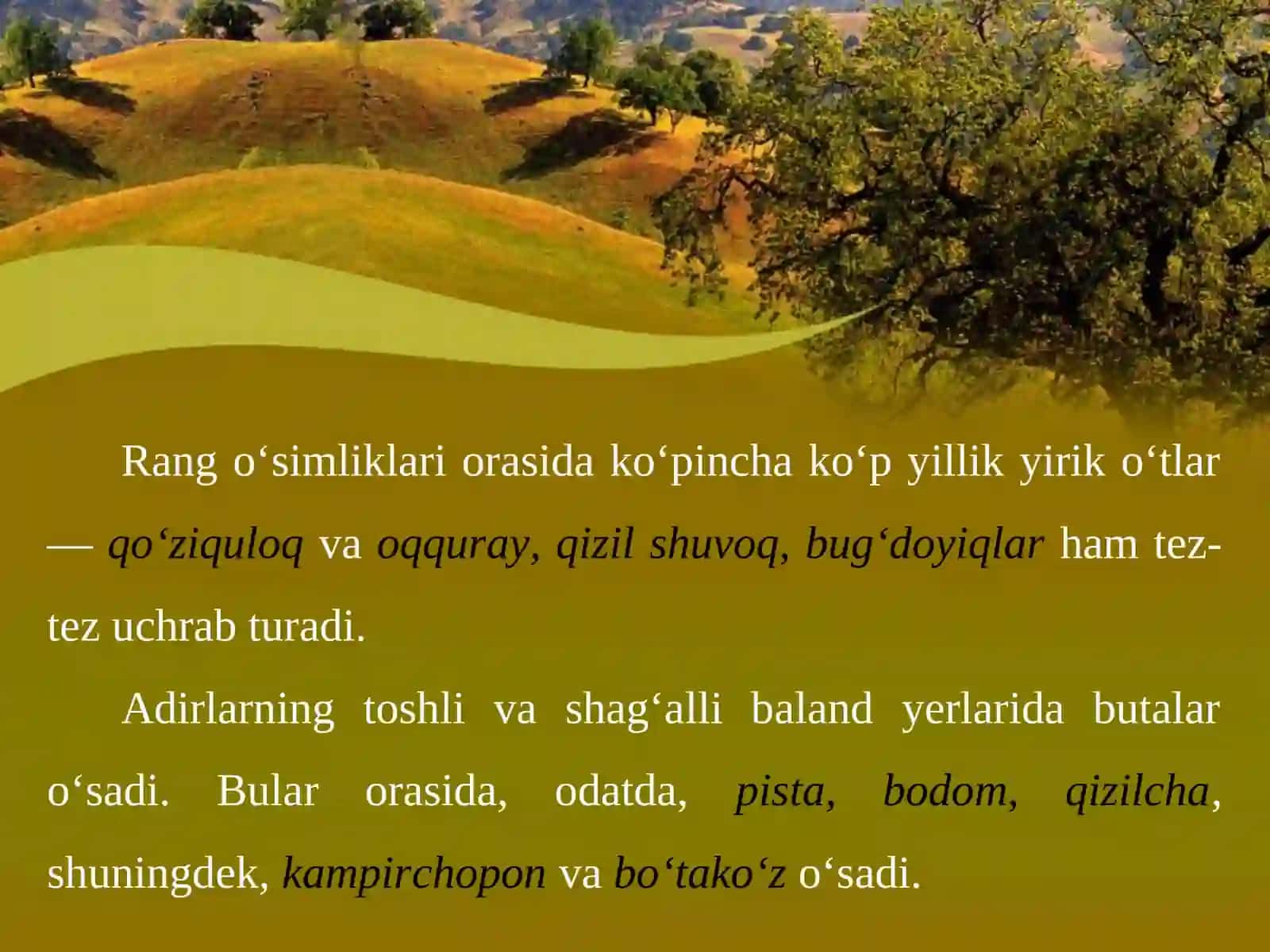O'rta Osiyo adir, tog‘ va yaylov o‘simliklari 3