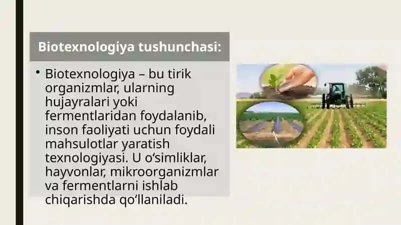 Qishloqxo'jalik mahsulotlarini saqlash va qayta ishlashda biotexnologiya usullari 3