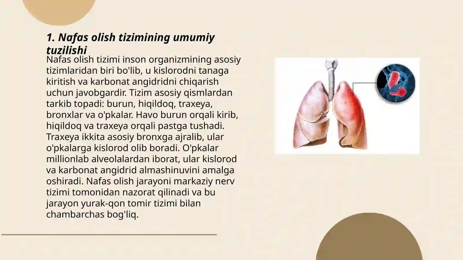 Nafas olish tizimi aʼzolarining qiyosiy gistalogik tavsifi 3