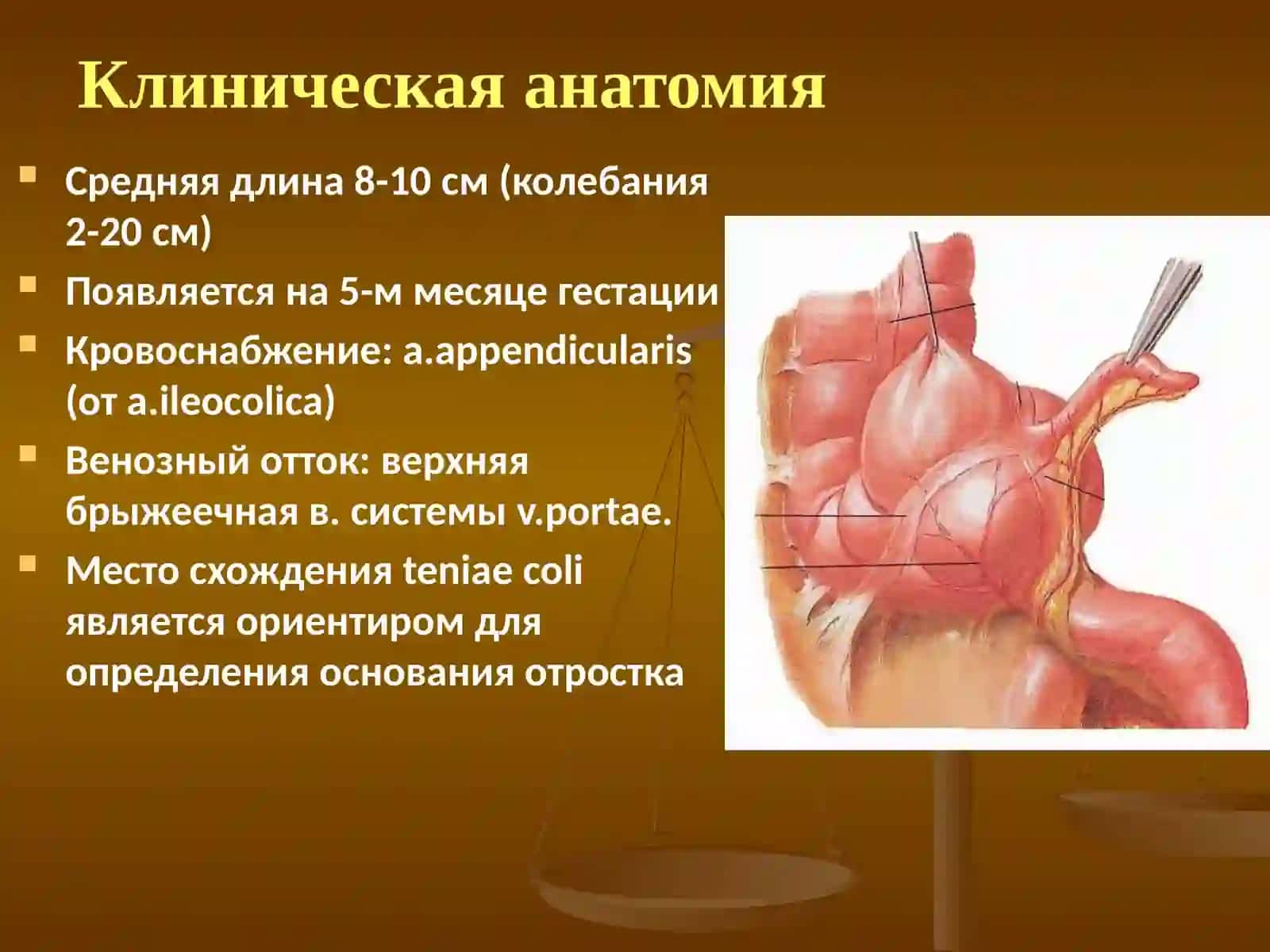 Гнойно-воспалительные заболевания брюшной полости у детей. Острый аппендицит и перитонит у детей 3