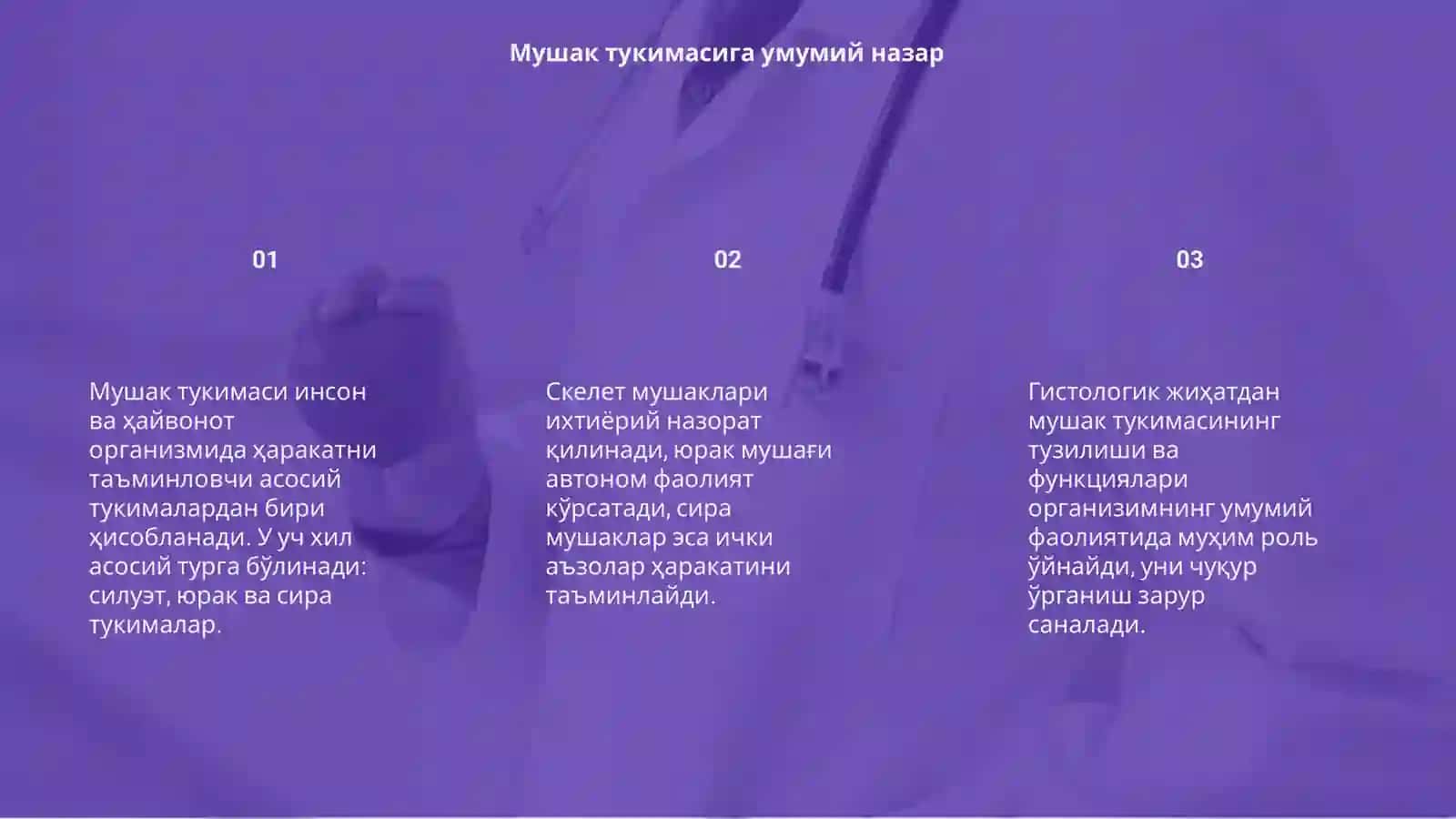 Гистология фанидан мушак тукимаси 3