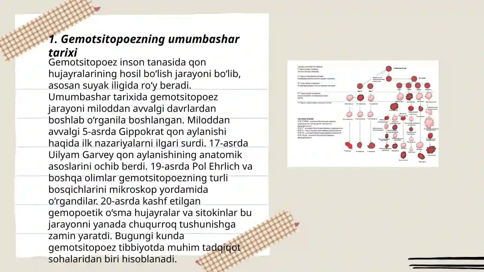 Gemotsitopoez jarayonining boshqariluvi 3