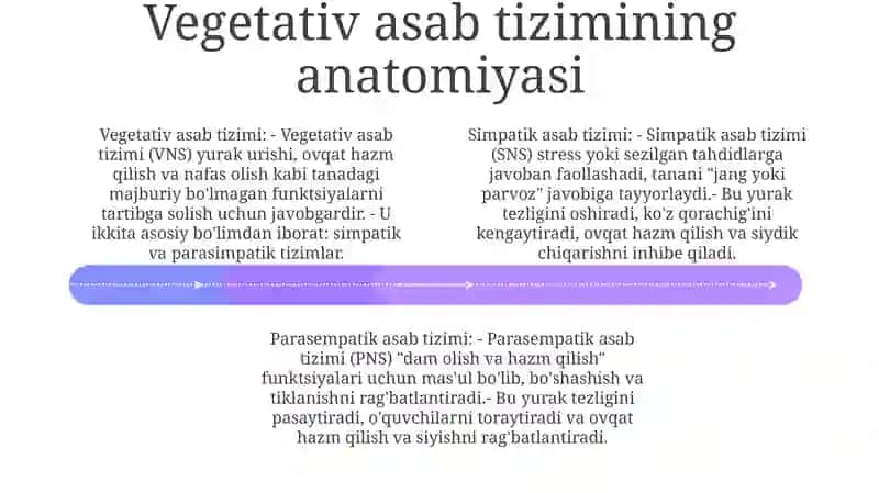Vegetativ Nerv Sistemasi. Simpatik Va Parasimpatik Qismlari 3