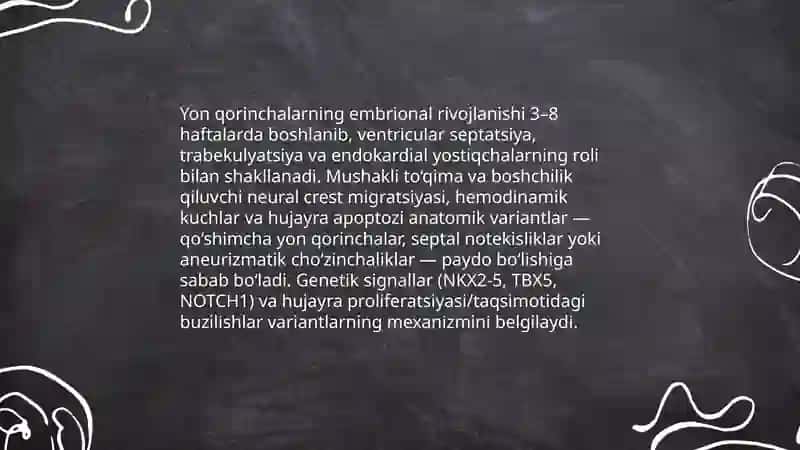 Yon qorinchalarning variant anatomiyasi klinik ahamiyati 3