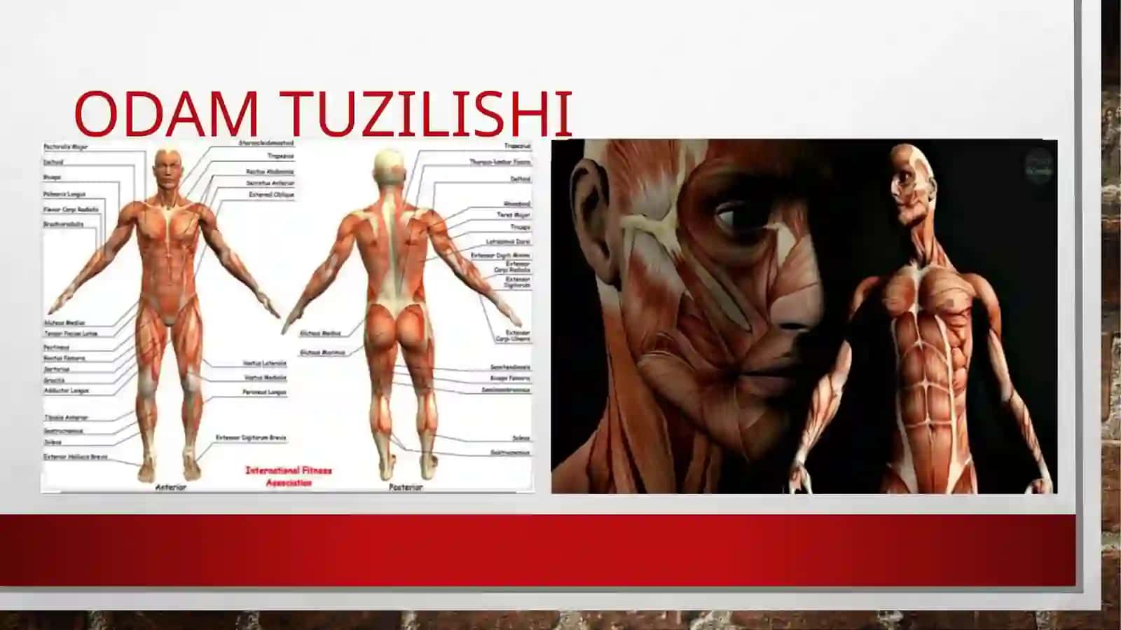 Tabiatshunoslik fanidan online dars taqdimoti 3