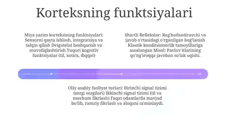 Asab Tizimining Oliy Bo'Limlarining Funktsiyalari 3