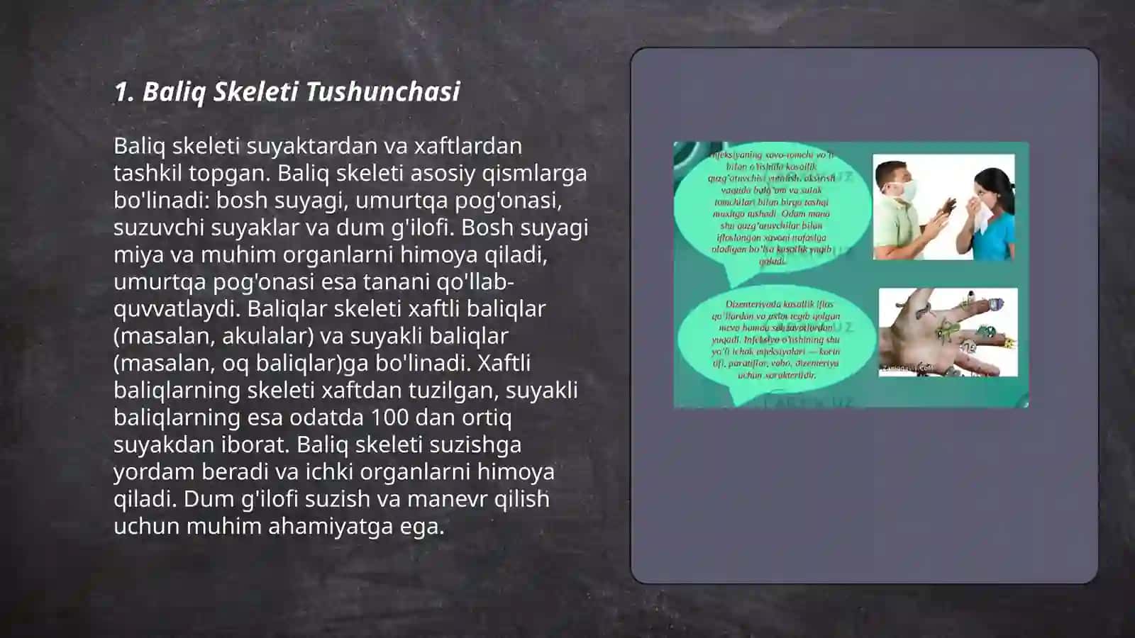 Baliq Skeleti Tushunchalar Tahlili BBB USULLARIDAN 3