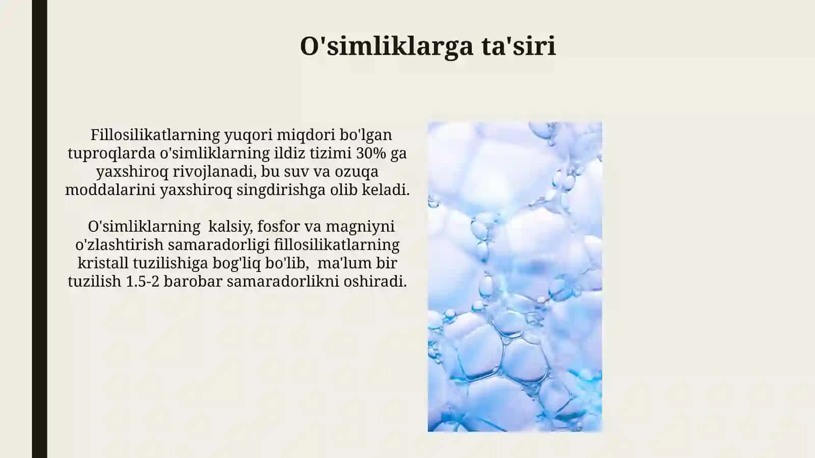 Buyuraklarning kalsiy, fosfor va bimarbanat almashinuvidagi ahamiyat 3