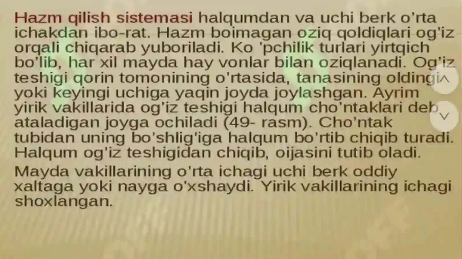 KopTarmoqli Tibbiyot Texnikumi Hamshiralikishiyonalishi114-guruhtalabasi 3