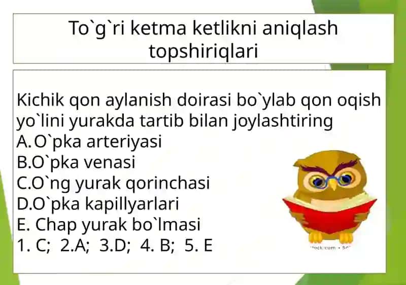 8-sinf Odam va uning salomatligi 3