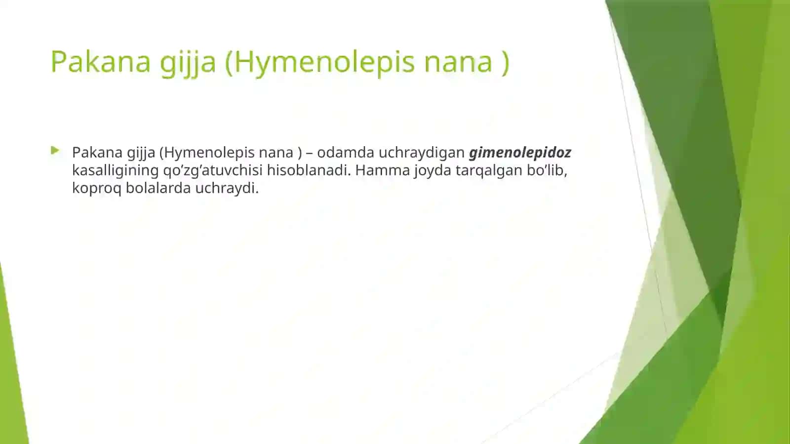 ODAMDA PARAZITLIK QILUVCHI LANSETSIMONLAR (Pakana gijja, serbar gijja , exinokokk , alvekokk 3