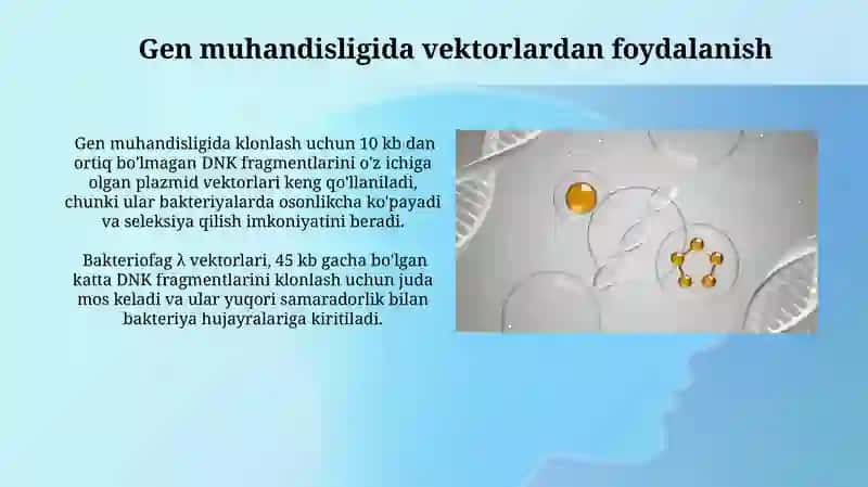 Plazmid va Fag Vektorlari haqida tushuncha 3