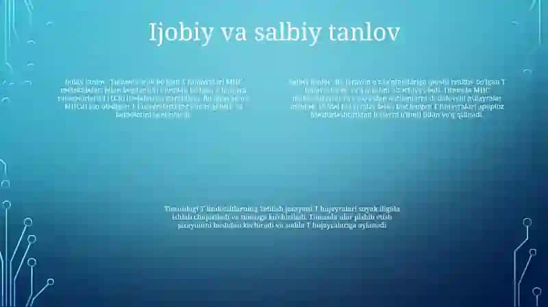 Timusdagi T-Limfositlarning Yetilish Jarayoni 3
