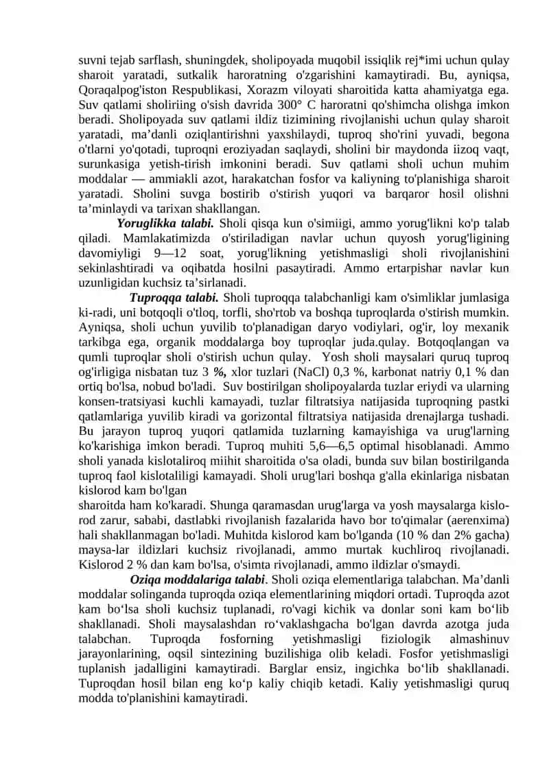 Sholi o’simligi va uni yetishtirish agrotexnikasi 3