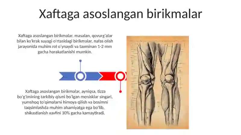 Suyaklarning birikmalari turlari 3