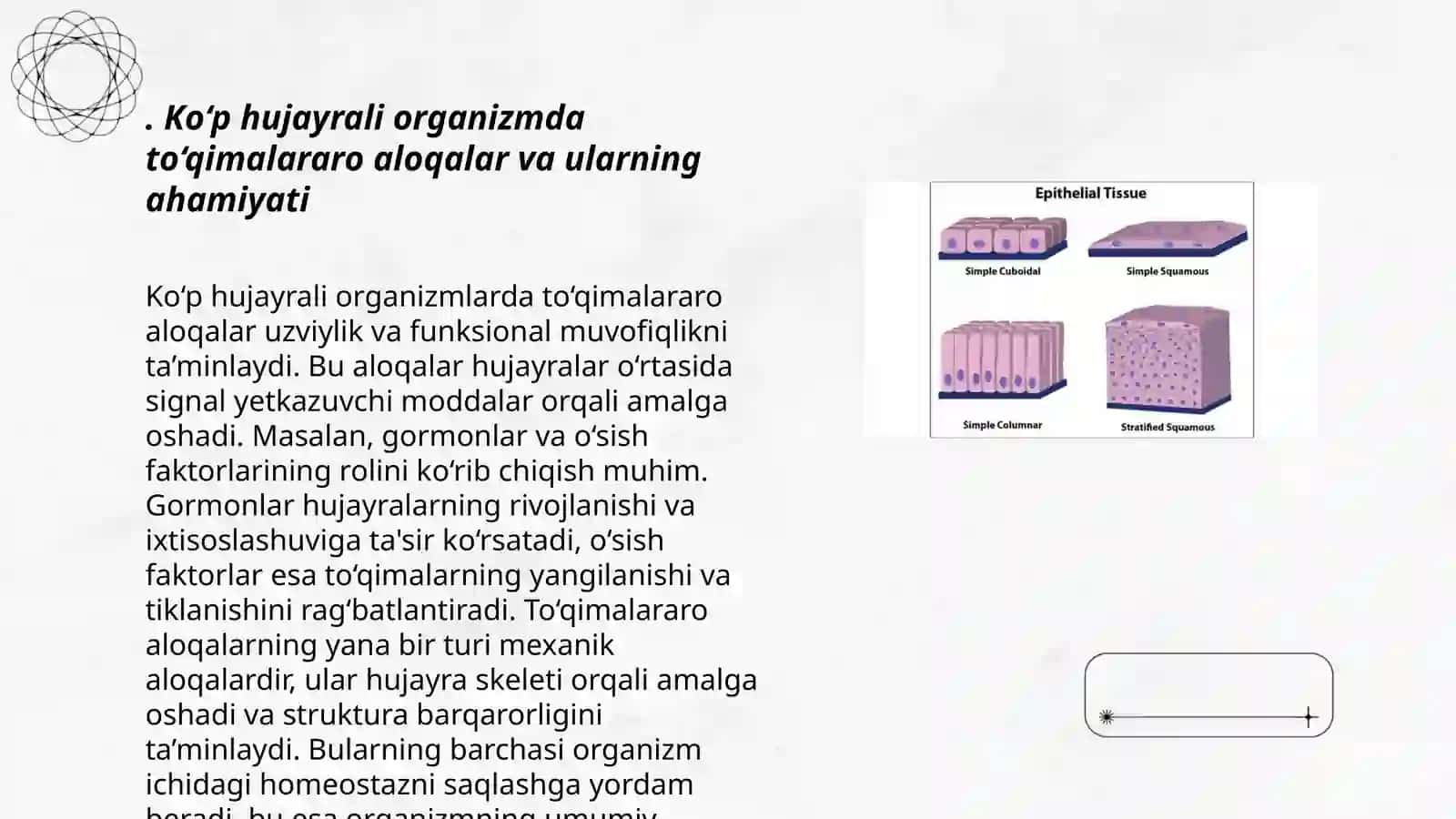 Ko‘p hujayrali organizm to‘qimalari 3