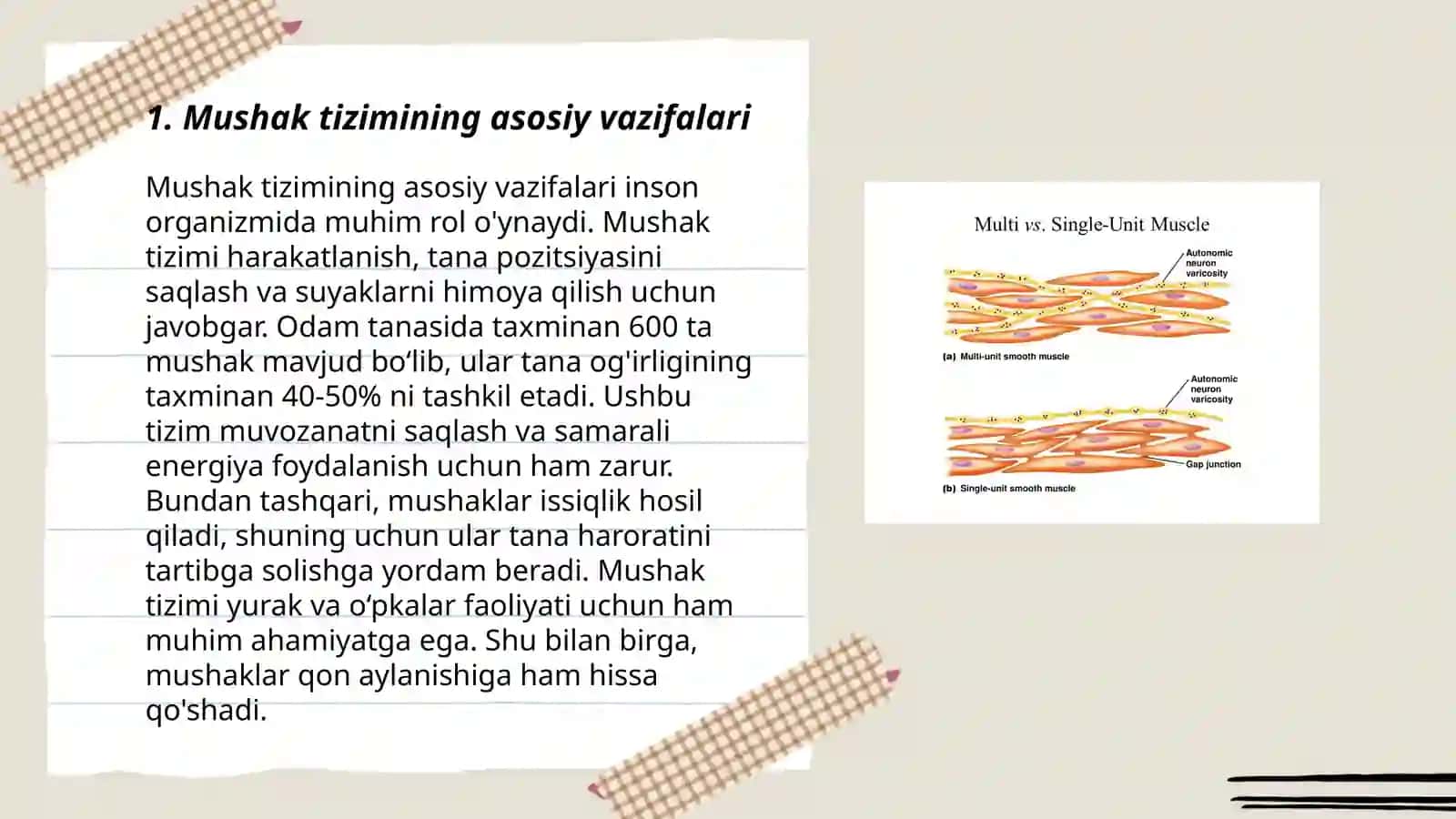 Mushaklar tizimi va fiziologiyasi 3