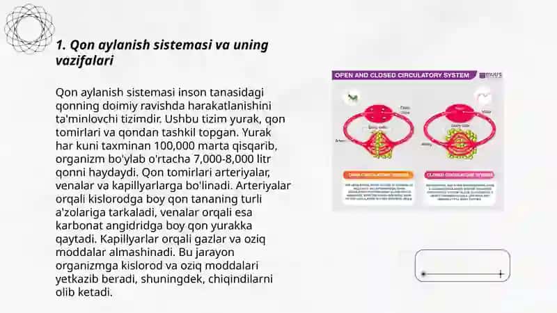Qon aylanish a'zolari tizimini baholash 3
