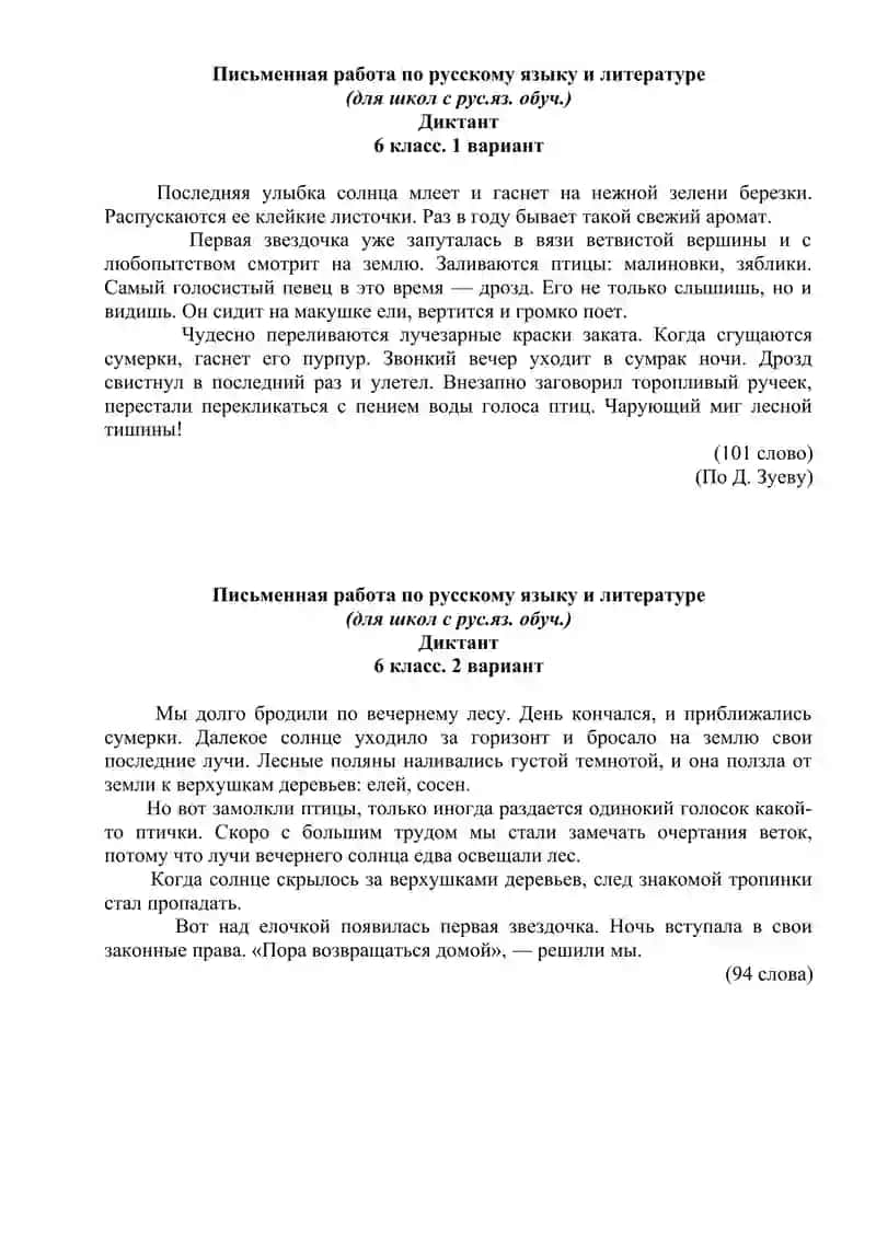 Письменная работа по русскому языку и литературе 3